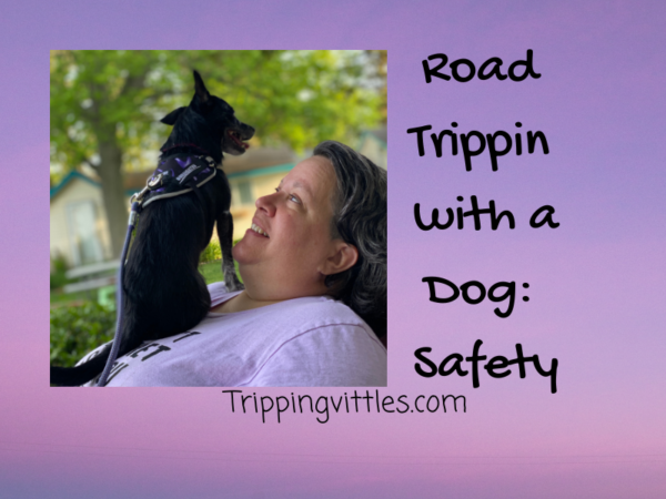 Road Trippin with a Dog: Safety